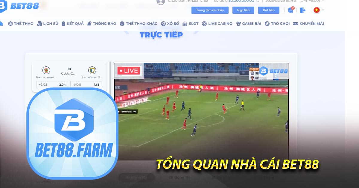 Tổng quan nhà cái Bet88