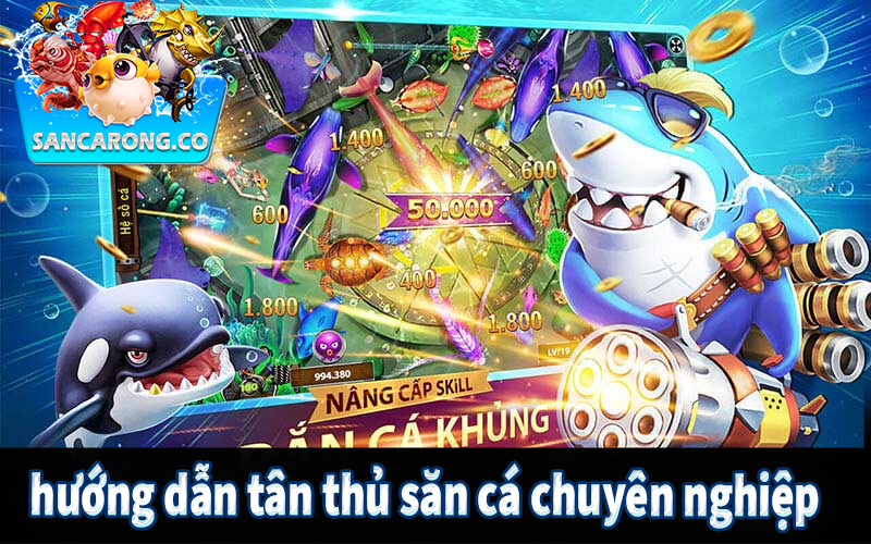 Sancarong hướng dẫn tân thủ săn cá chuyên nghiệp