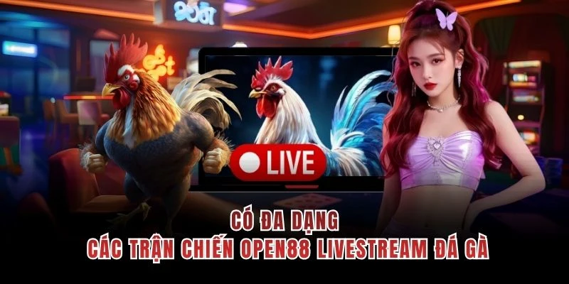 Có đa dạng các trận chiến OPEN88 livestream đá gà